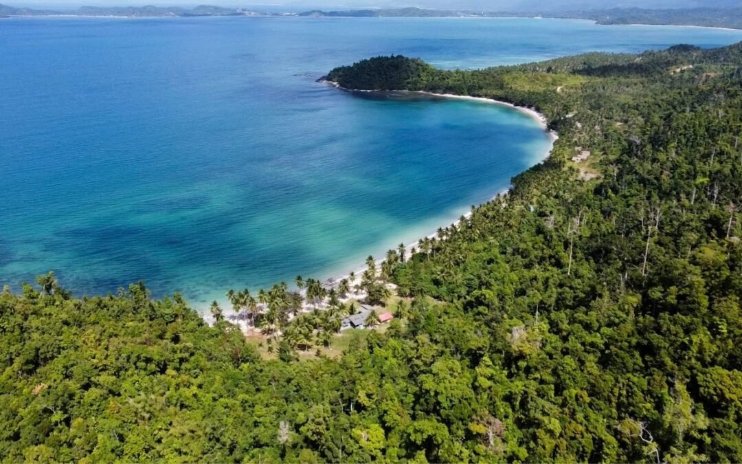 San Vicente’s Agricultural Lots for Sale