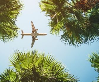 flights flights