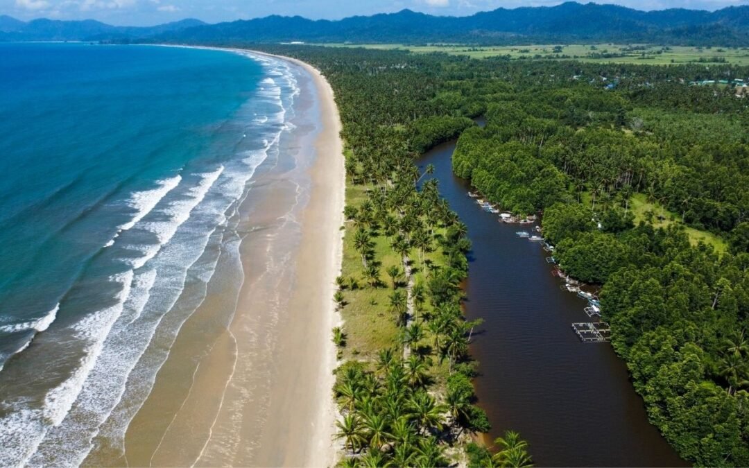 Proposed Road Network at Long Beach